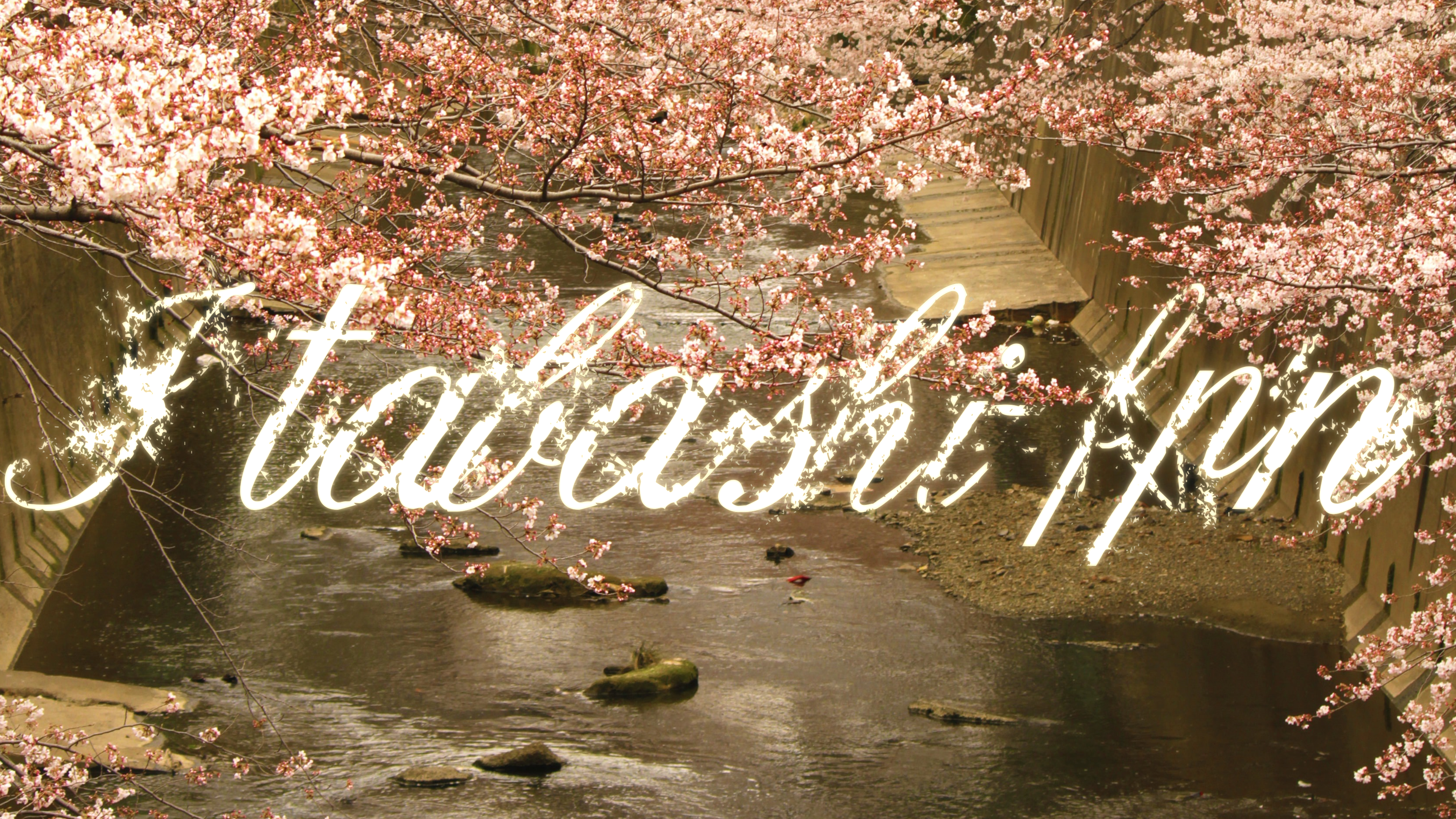 板橋丼(Itabashi-don)